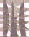 FEINI06