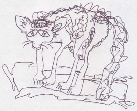 KATZE1